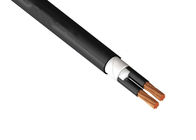 600V CVV Special Cables Multicore Polyvinyl Chloride Flexible Control Cable